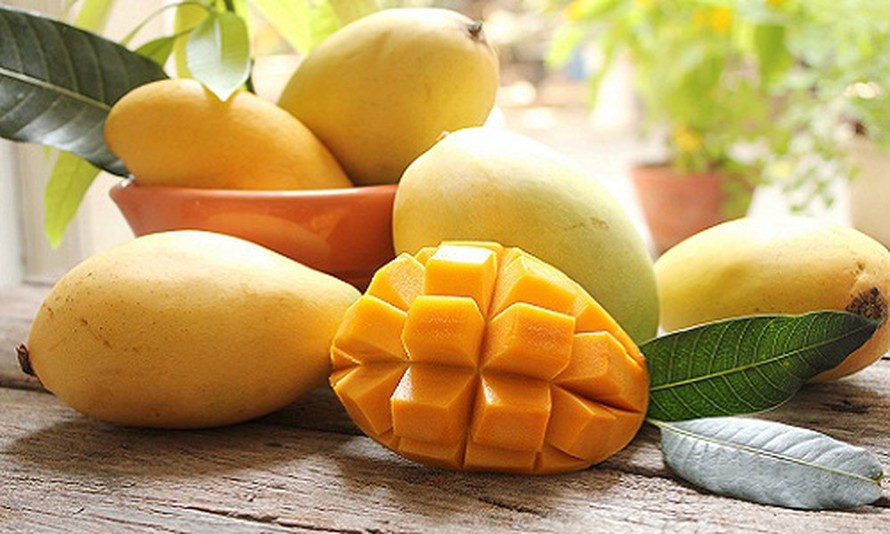 VIETNAM – LE PARADIS DES FRUITS EXOTIQUES