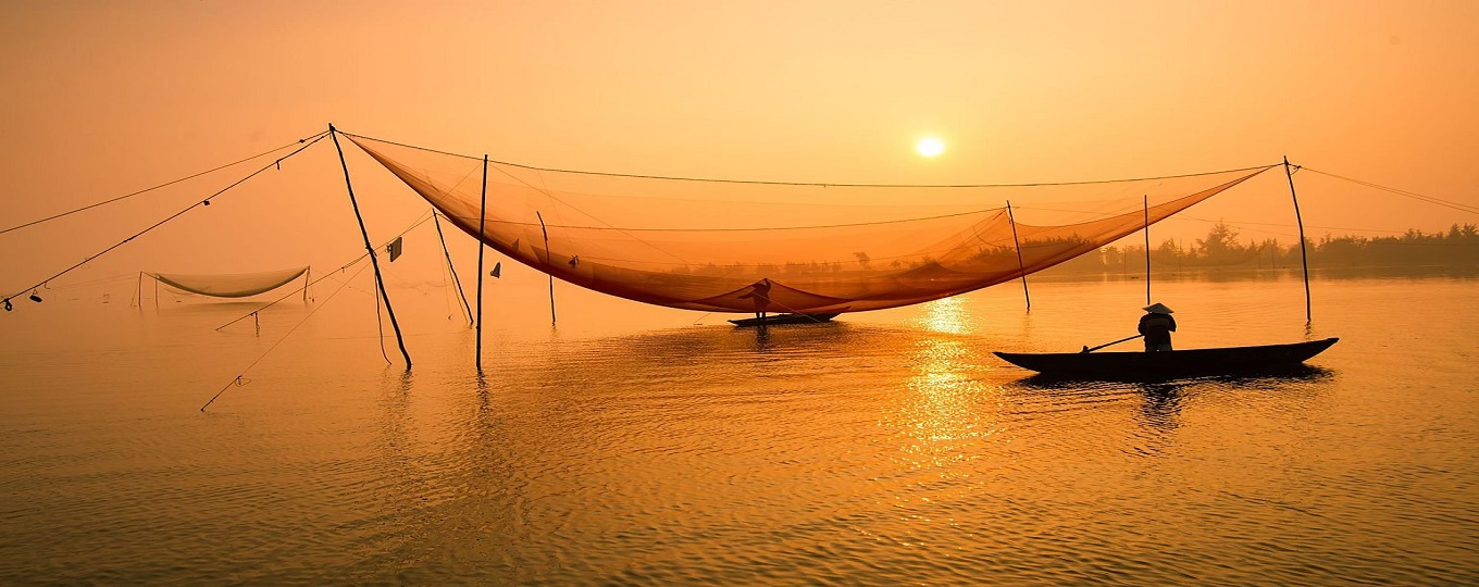 Tailor made private tours